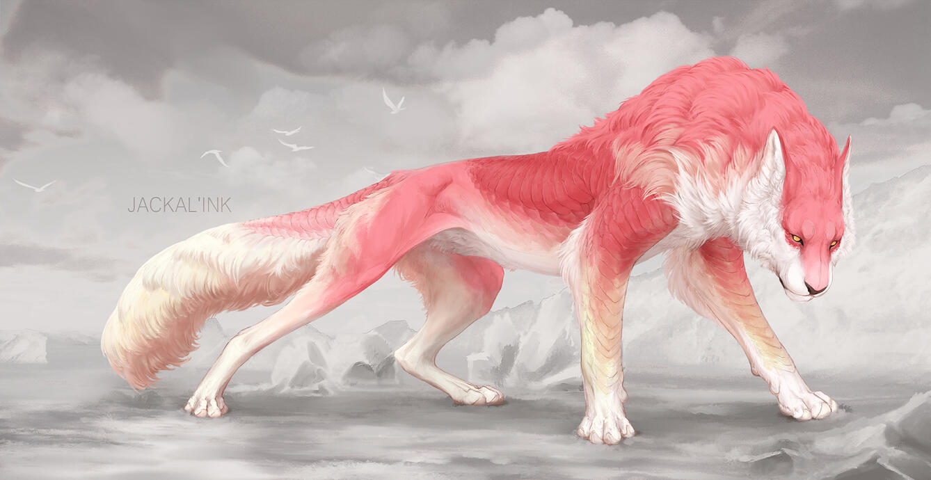 FULLBODY $80+